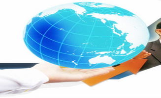 圣世信通上线8manage信息化管控项目全流程，赋能企业信息技术咨询服务